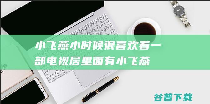 小飞燕，小时候很喜欢看一部电视居里面有小飞燕请看过这电视得朋友给我